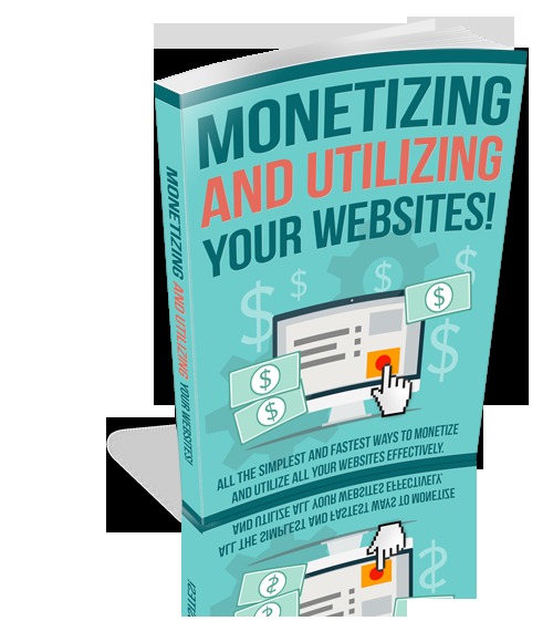 Product picture Monetizing and Utilizing Your Website 2017